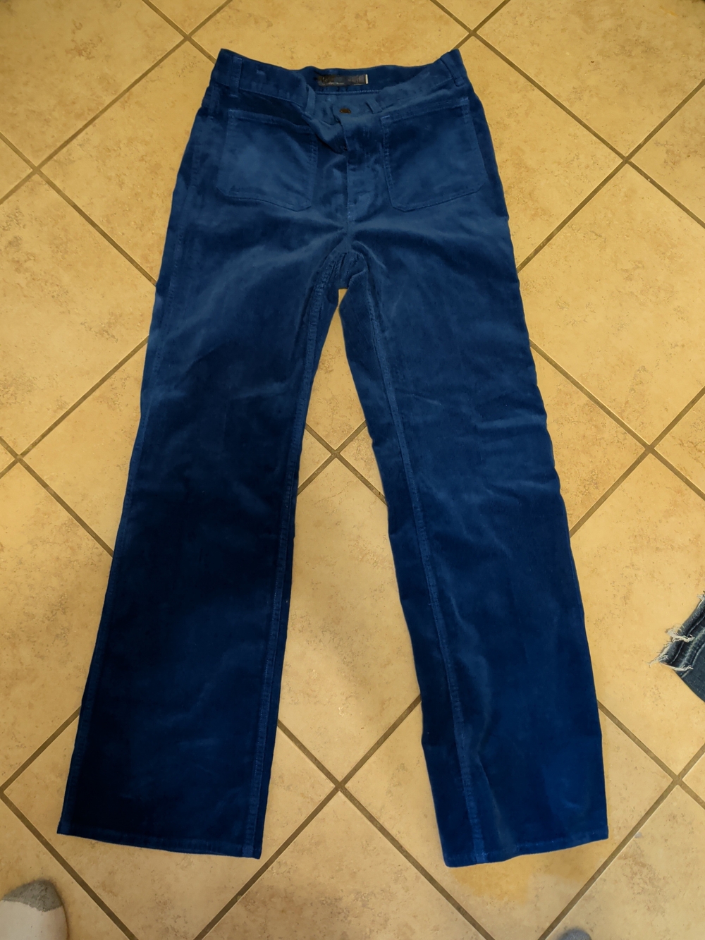 Polo by Ralph Lauren Deep Blue Corduroy Pants